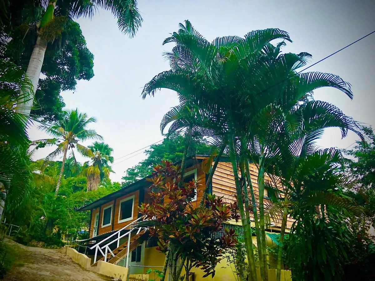 Real Dominican Republic Discovery Bed & Breakfast Puerto Plata
