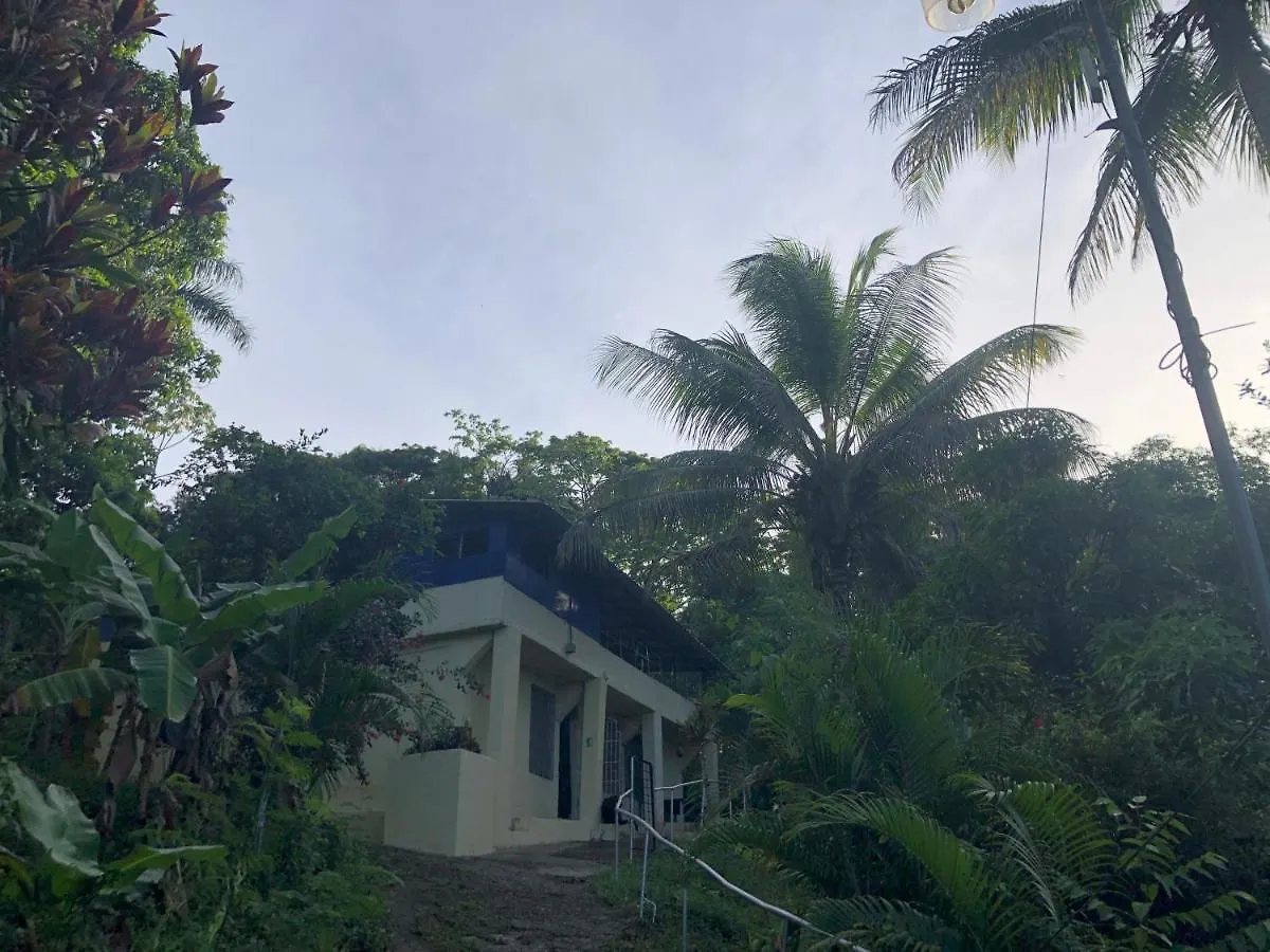 Real Dominican Republic Discovery Bed & Breakfast Puerto Plata Dominican Republic