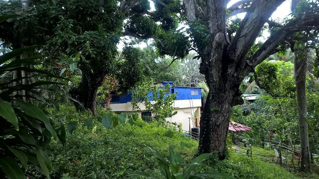 Real Dominican Republic Discovery Bed & Breakfast Puerto Plata