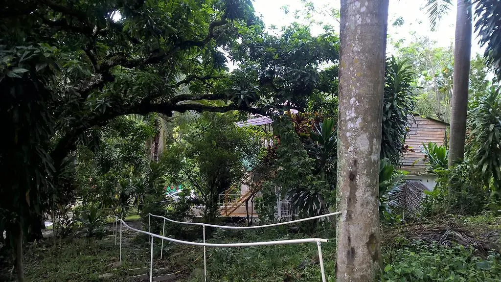 Real Dominican Republic Discovery Bed & Breakfast Puerto Plata