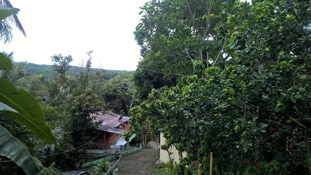 Real Dominican Republic Discovery Bed & Breakfast Puerto Plata