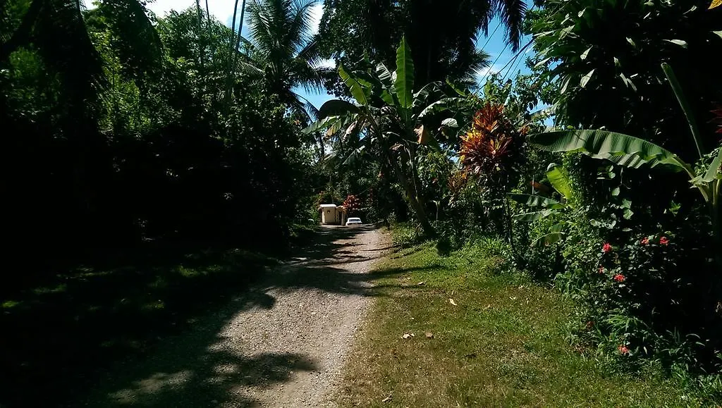 Real Dominican Republic Discovery Bed & Breakfast Puerto Plata Dominican Republic