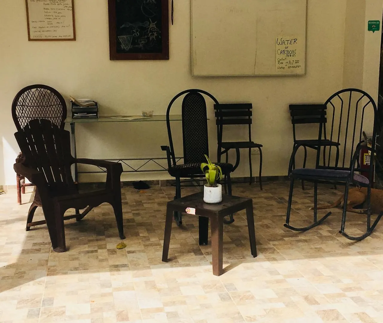 Real Dominican Republic Discovery Bed & Breakfast Puerto Plata