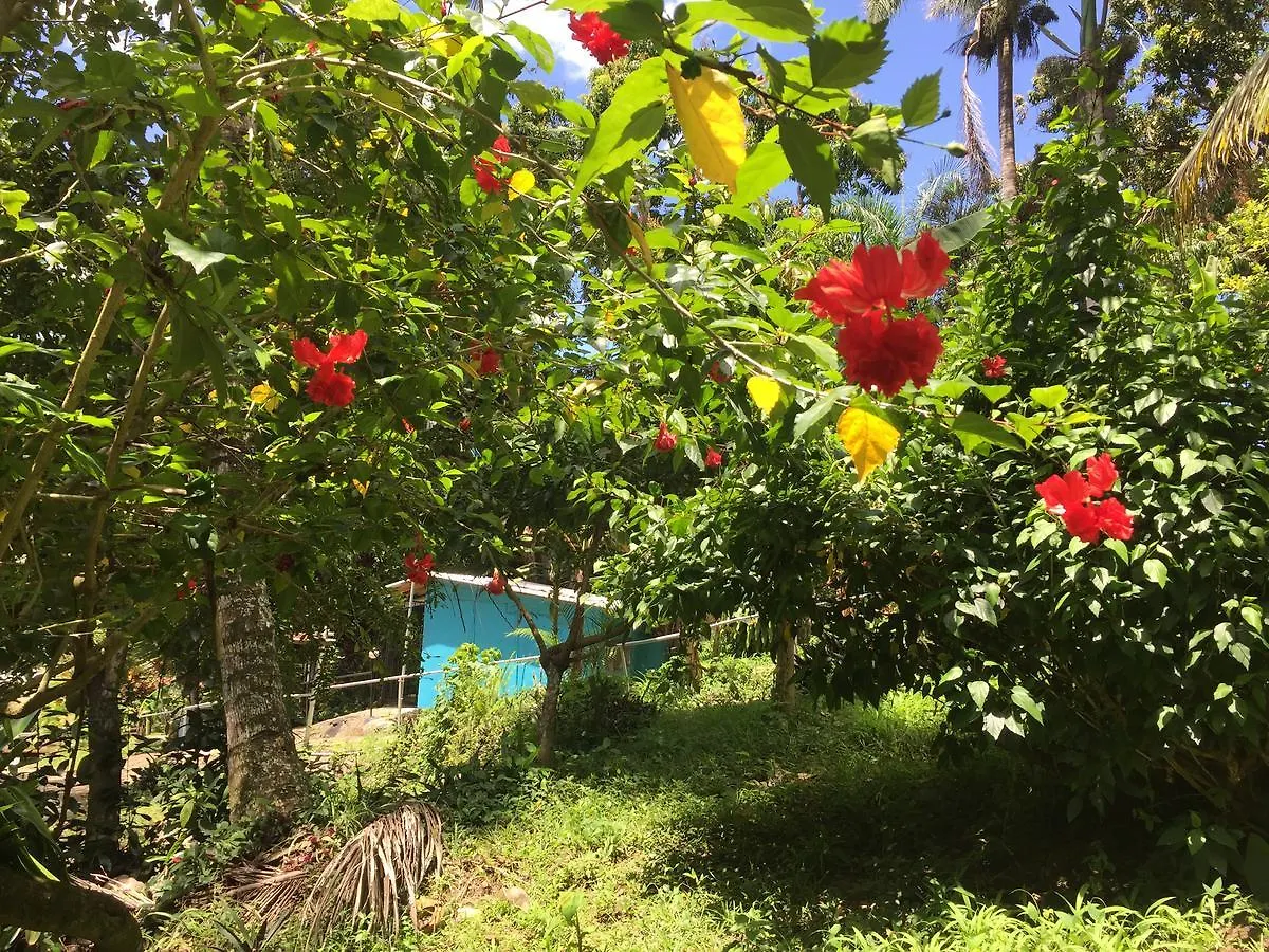 Real Dominican Republic Discovery Bed & Breakfast Puerto Plata